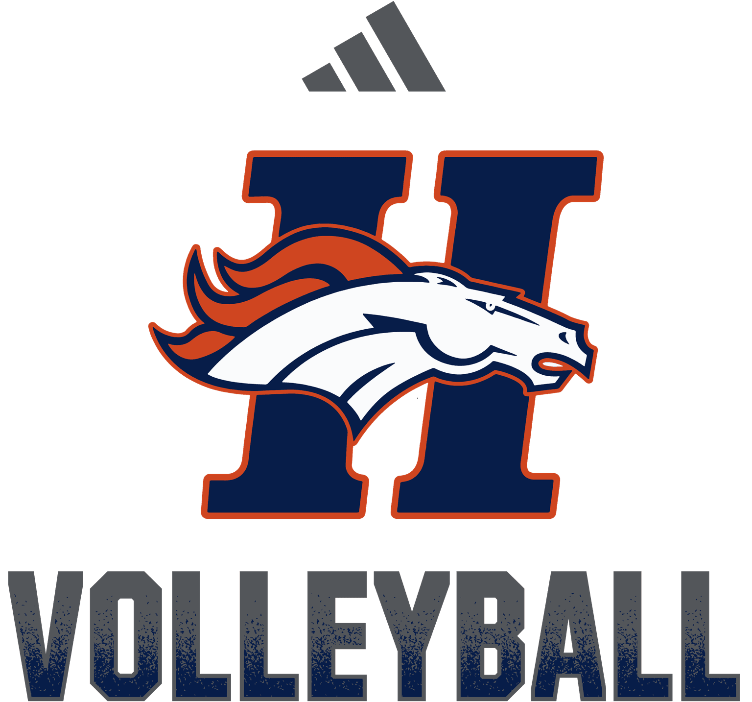 VOLLEYBALL